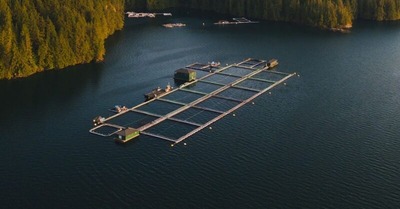 Nets in body of water