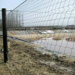 Netting over fracing pond