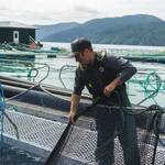 Man on boat hauling net