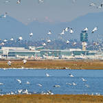Vancouver Airport
